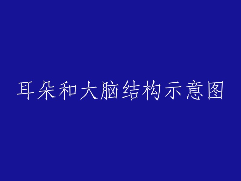 耳朵和大脑结构示意图