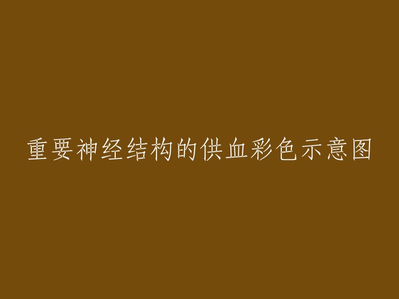 重要神经结构的供血彩色示意图