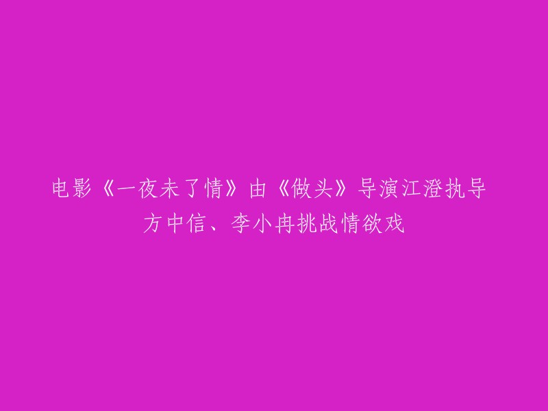 电影《一夜未了情》由江澄执导，方中信、李小冉主演。影片讲述了一对男女在旅行中邂逅，经历了一夜的浪漫激情后分开，不料两人后又在都市中重逢的故事 。