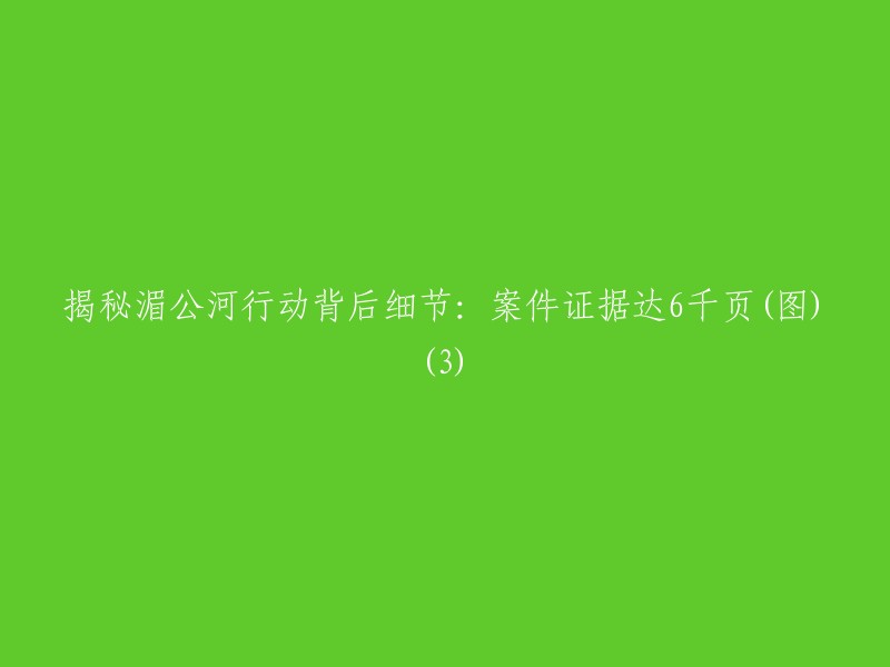 揭秘湄公河行动的背后细节：案件证据多达6000页(图片)