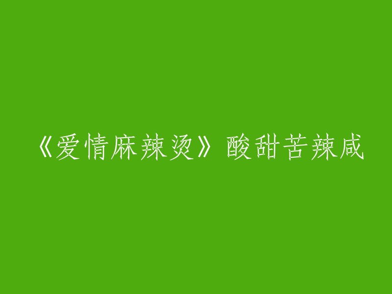 《爱情五味锅：酸甜苦辣咸的交织》