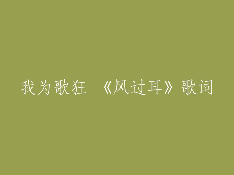 以下是《风过耳》的歌词：

清亮亮的发丝弯弯蜒蜒在耳边打一个圈
会说话的手势藏进衣袖却露出了红指尖
不回答画着问号的双眼
也不告诉你在哪靠岸
留一个美丽的背影给你猜
猜错了我也不遗憾 我也不遗憾

听他们说说说的未来和从前
只当是清风过耳边
听他们说说说的忧虑和伤感
我不会带走一点点
听他们说说说的灰色和灿烂
只当是清风过耳边
听他们说说说的泪水和缠绵