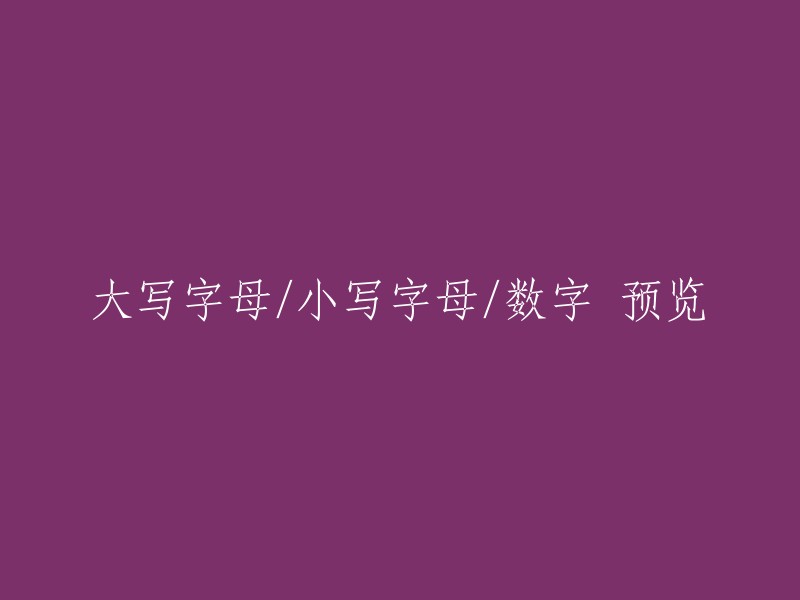 请重新编写这个标题：大写字母/小写字母/数字 预览