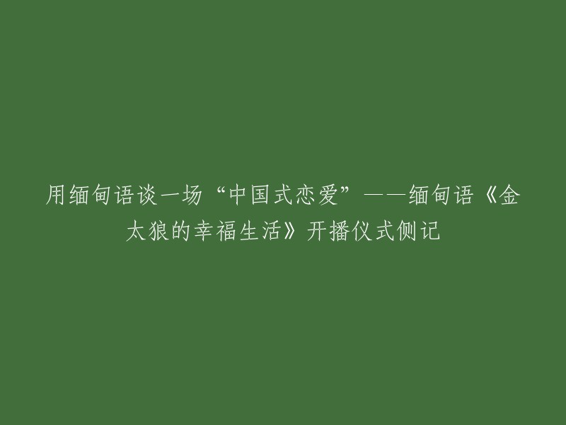 《金太狼的幸福生活》是一部中国电视剧，由华录百纳公司制作出品并翻译成缅甸语配音版。该剧在仰光举行的开播仪式上，由多名缅甸著名影视明星和国家电视台播音员配音，是中缅两国艺术家共同再创作的艺术成果，也是首部用缅甸语播出的中国电视剧 。