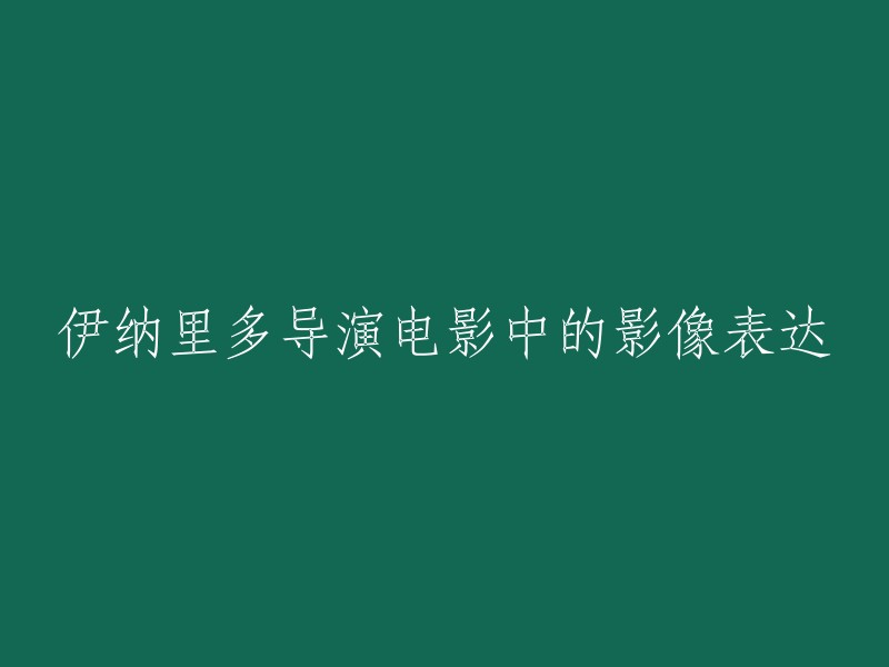 伊纳里多导演作品中的视觉艺术表达"