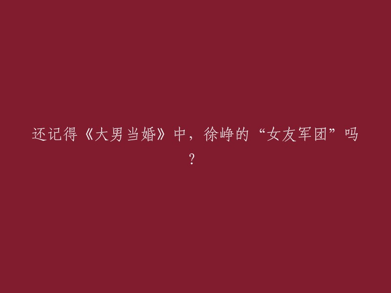 《大男当婚》是一部讲述了曹小强(徐峥饰)是一名食品销售主管，35岁的单身汉，他热爱生活，天性乐观，奈何就是没有异性缘。在剧中，徐峥的“女友军团”包括了六位女主角：李小璐、宋佳、张歆艺、林心如、王菲和周迅。 