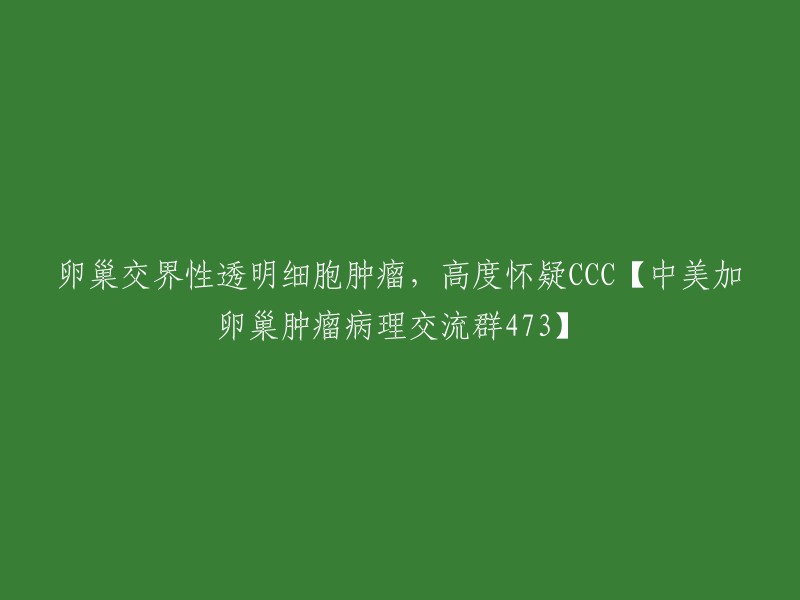 高度疑似卵巢交界性透明细胞肿瘤，CCC【中美加卵巢肿瘤病理交流群473】