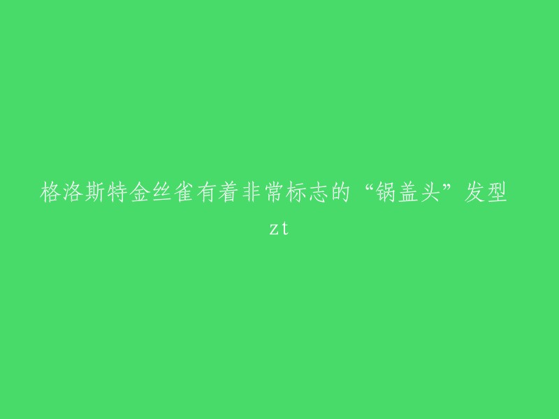 格洛斯特金丝雀以其独特发型——锅盖头，引人注目"