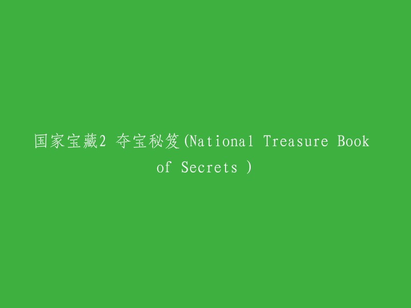 揭秘国家宝藏2:夺宝奇谋(Unveiling the National Treasure 2: Secrets of the Heist)"