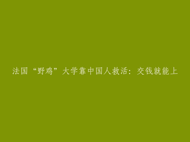 中国学生拯救了濒临倒闭的法国“野鸡”大学：付费即可入读