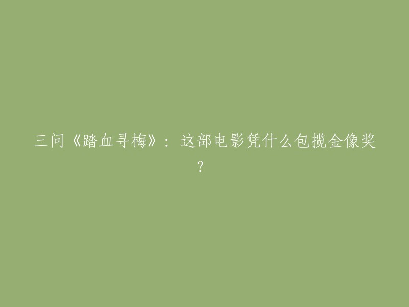 《踏血寻梅》是一部由翁子光执导的电影，于2008年上映。这部电影在第35届香港电影金像奖中夺下最佳编剧、最佳男主角、最佳女主角、最佳男配角、最佳女配角、最佳新演员和最佳摄影共7项奖。这部电影凭什么包揽金像奖呢？可能是因为它的剧情紧凑，人物形象鲜明，演员表演出色，摄影技巧精湛等等原因吧。