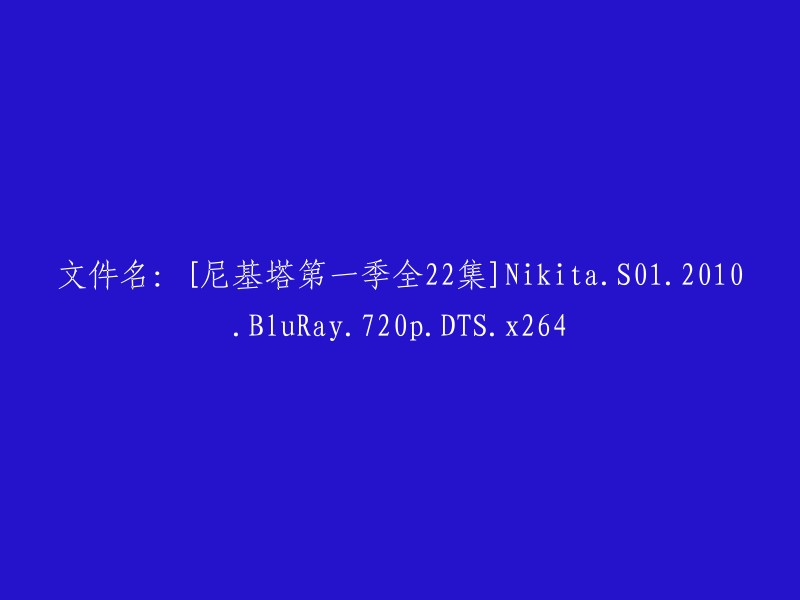 尼基塔第一季全22集：Nikita - S01 - 2010 - BluRay 720p DTS x264