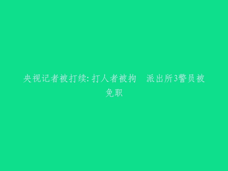 央视记者遭受殴打事件后续：施暴者被拘留，派出所3名警员被免职"