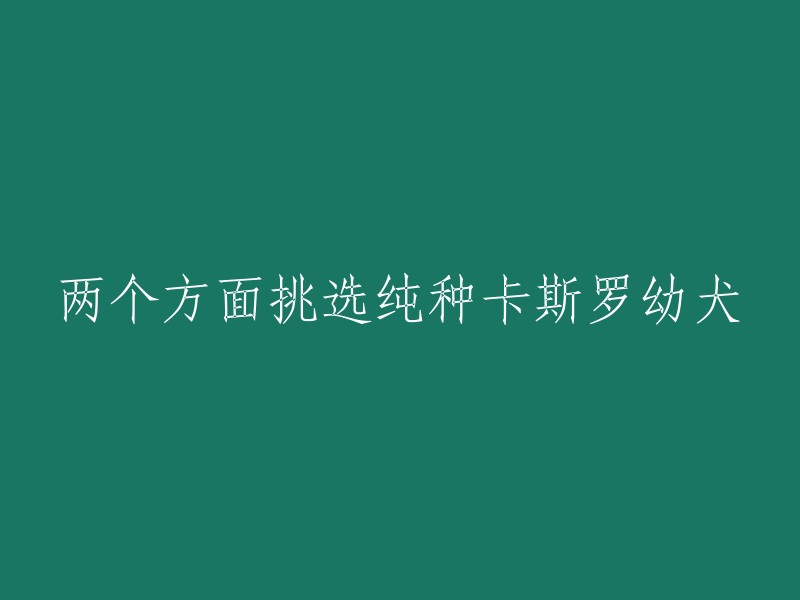 从两个角度选择纯种卡斯罗幼犬