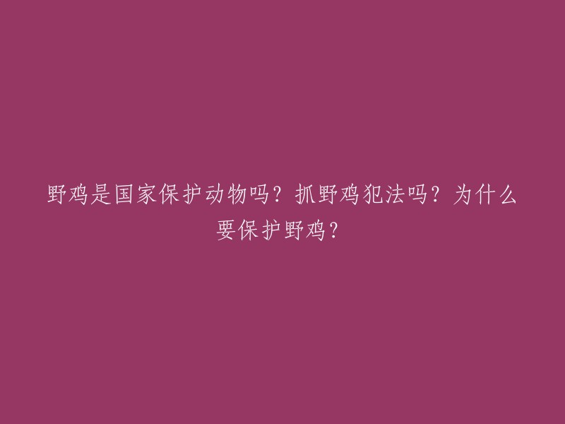 野鸡是否受国家保护？捕捉野鸡是否违法？为什么需要保护野鸡？