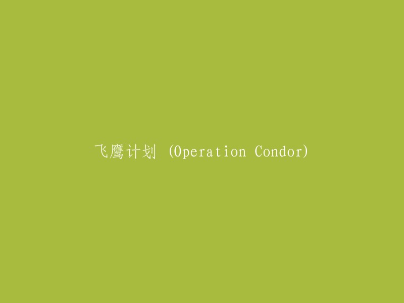 秃鹫行动 (Operation Condor) "