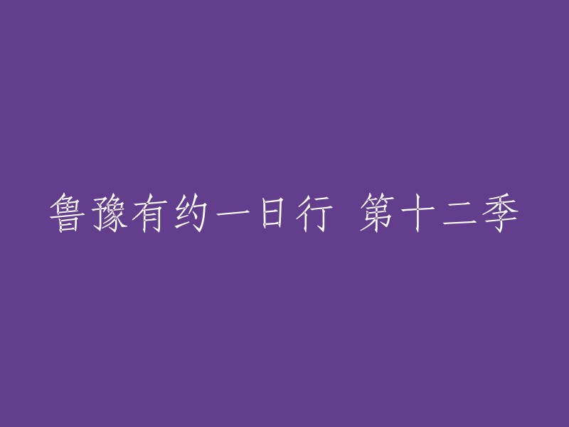 鲁豫有约：一日行第十二季