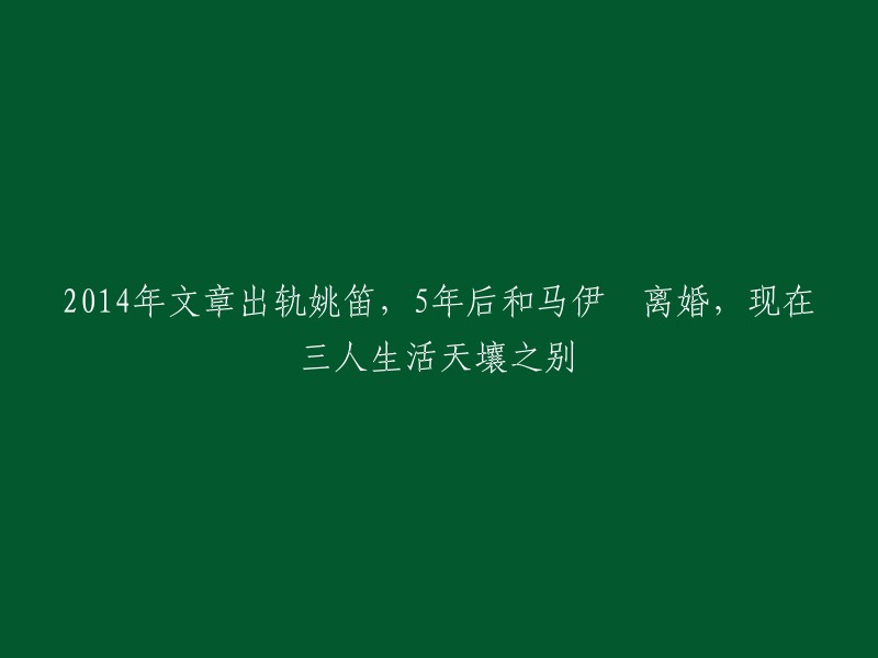 014年，文章和姚笛被拍到在深圳蛇口的街头旁若无人地缠绵拥抱。 2016年，文章和马伊琍离婚。 2020年，三人生活天壤之别。