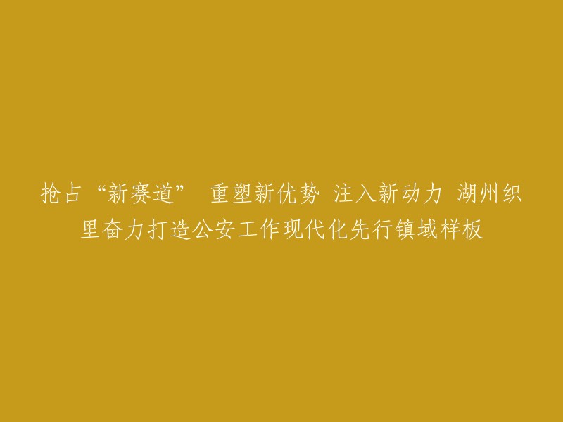 湖州织里公安工作现代化先行镇域样板，抢占“新赛道”，重塑新优势，注入新动力。