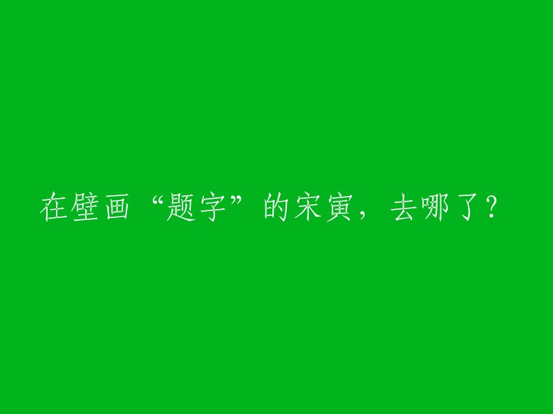 寻找宋寅：壁画中的'题字'艺术家的失踪之谜"