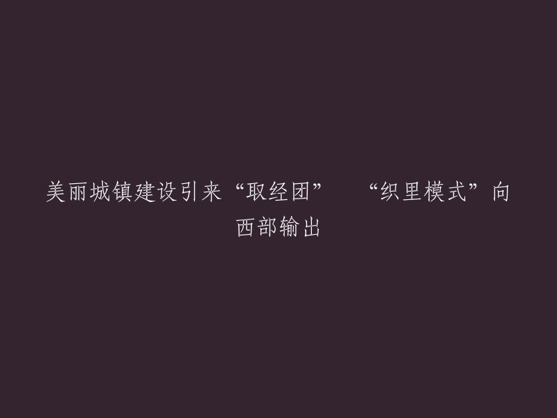 美丽城镇建设吸引学习团队，'织里模式'向西部地区输出"