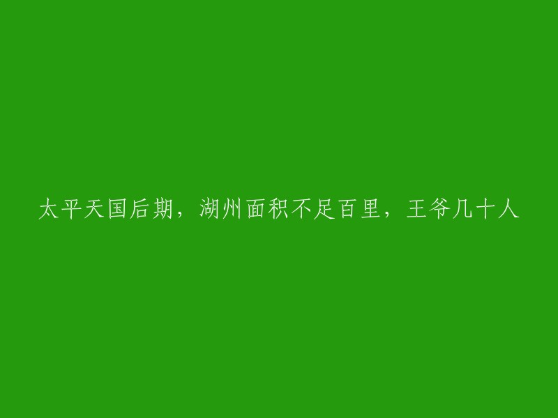 太平天国后期，湖州的面积不足百里，王爷几十人。据平湖县志记载，道光十八年(1838年)全县人口为304365人，可是仅仅过了二十多年，到同治三年(1864年)全县清查人口仅为50750人。太平天国后期，曾经繁华富庶的江南“几于百里无人烟，其中大半人民死亡，室庐焚毁，田亩无主，荒弃不耕”。