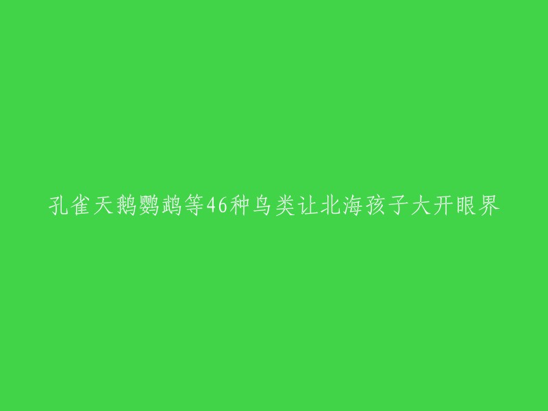 北海的孩子们近距离接触46种鸟类，如孔雀、天鹅和鹦鹉等，拓宽了视野"