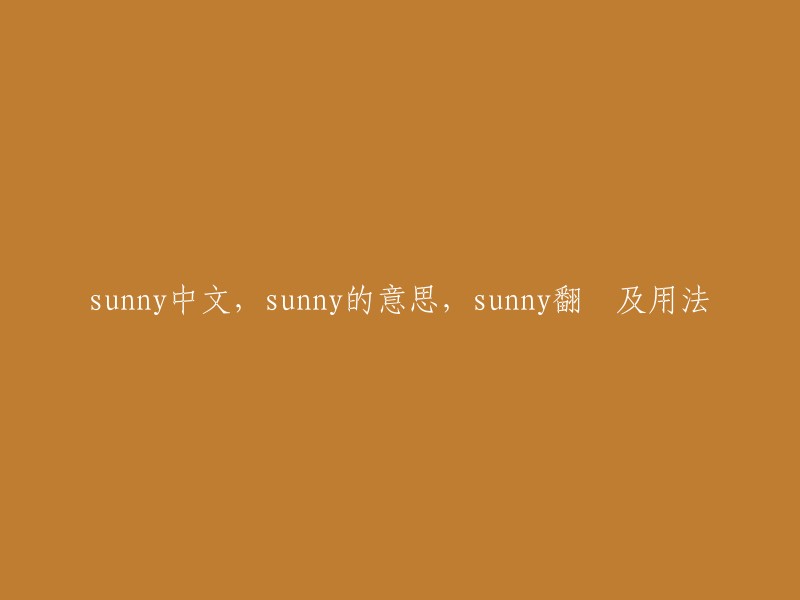 Sunny的中文含义、翻译及用法