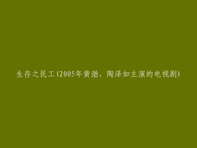 《民工生存记：2005年黄渤、陶泽如主演的电视剧》