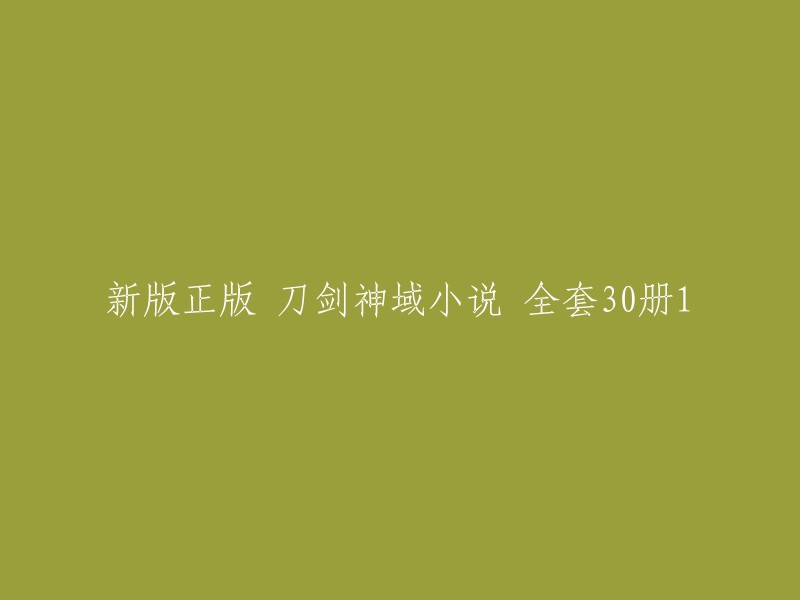 刀剑神域"系列小说全新修订版30册全套