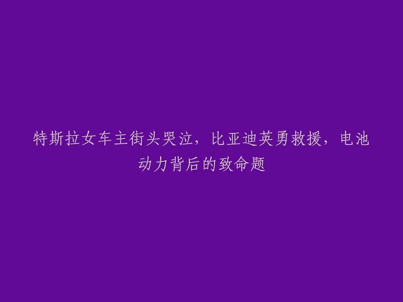 比亚迪英勇救援特斯拉女车主：揭示电池动力车辆背后的潜在危险"