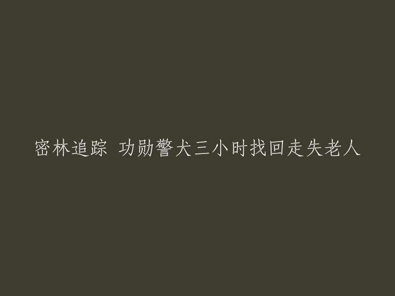 在密林中，警犬助力三小时成功找回失踪老人