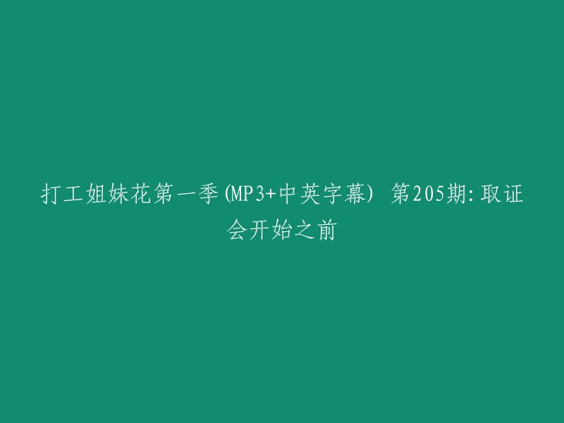 打工姐妹花第一季(MP3+中英字幕)第205期：取证会议开始之前的精彩瞬间"