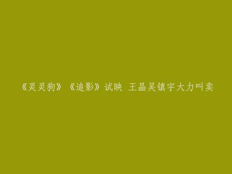 您好！您提供的信息是关于电影《大内密探灵灵狗》和《追影》的。这两部电影都在香港上映，而且在同一天上映。据报道，导演王晶和演员吴镇宇都在场外大力叫卖，但是他们对票房的预期却不同。王晶表示，他完全不担心《追影》抢风头，而吴镇宇则豪言誓取一亿票房，同时还要口碑  。