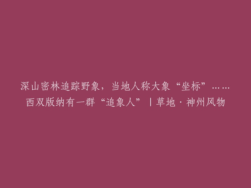 您好，根据您提供的标题，我了解到这是一篇关于西双版纳大象追踪的文章。西双版纳是一个以热带雨林为主的地区，也是中国最大的野生象群栖息地之一。在这里，有一群专业的“追象人”，他们会追踪野象并记录下它们的行踪。这些“追象人”通常会在野外生活数月，期间他们需要面对各种困难和危险，如蚊虫叮咬、恶劣天气等等。但是，他们对野生动物的保护工作却非常认真和负责。