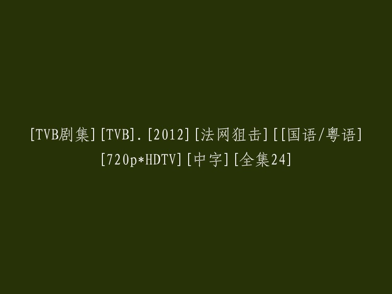 TVB电视剧：2012年法网狙击 - 全集24,粤语/国语，720p高清，带中文字幕"