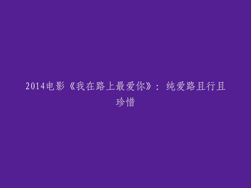 《我在路上最爱你》：2014年电影，纯爱之旅，珍视每一步