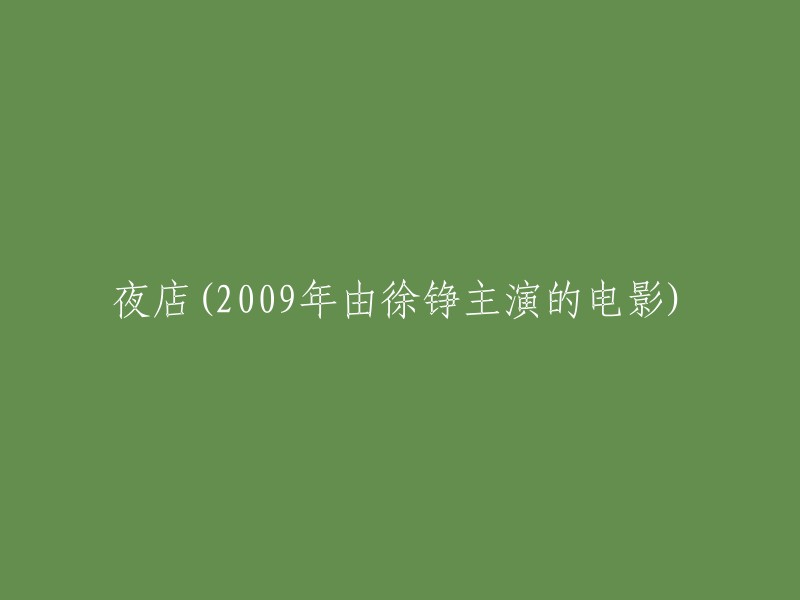 徐铮主演的电影《夜店》：2009年的夜晚狂欢