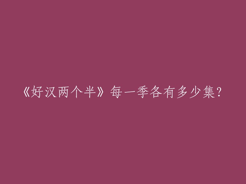 《好汉两个半》一共有六季，每季的集数如下： 
- 第一季：24集
- 第二季：24集
- 第三季：24集
- 第四季：24集
- 第五季：19集
- 第六季：24集