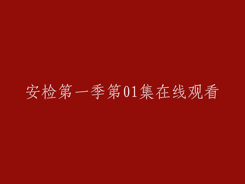 观看《安检》第一季第01集