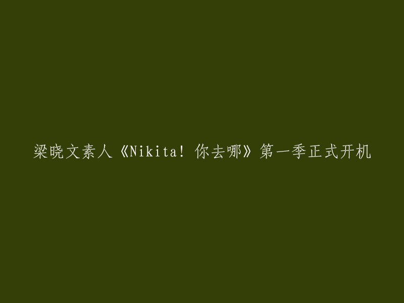 《Nikita!你去哪》第一季正式开机，是一档以素人为主体的海西首档时尚旅行真人秀，节目以海上丝绸之路为站点展开精彩之旅，时尚主播Nikita带领NIKITA家族在节目中挑战各项奇葩任务，爆笑的游戏环节，特别加入情景剧的表演形式，爆点不断，开启素人综艺的新时代。