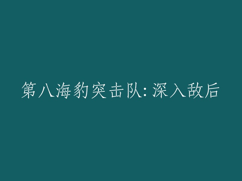 第八海豹突击队：潜入敌后行动