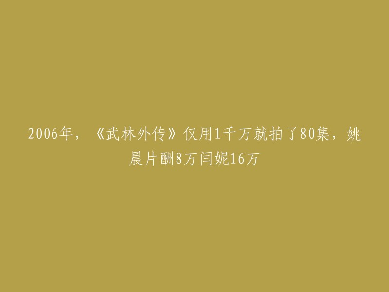 006年，电视剧《武林外传》仅用1千万就拍了80集，其中姚晨片酬8万，闫妮16万。该剧的总预算只有1000万，而后期编辑制作费、剧组人员吃喝拉撒睡的费用等加起来也不低。