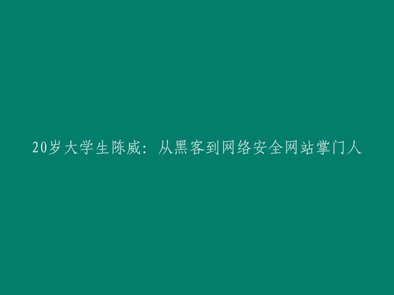 陈威：从黑客到网络安全网站创始人，20岁大学生的励志故事