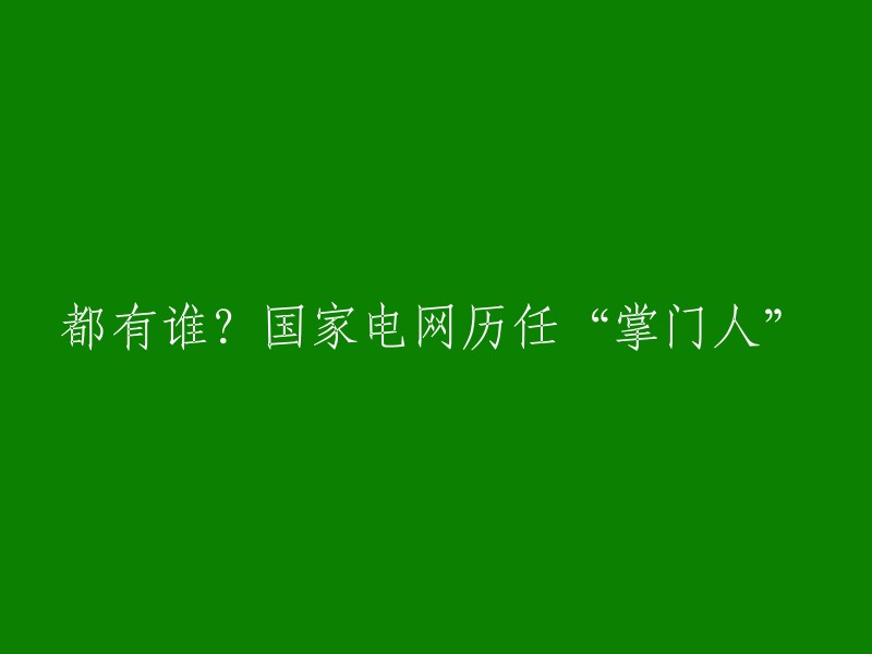 国家电网有限公司是中国最大的电力公司之一，成立于2002年12月。自成立以来，国家电网的历任一把手分别为：赵希正、刘振亚、舒印彪、寇伟、毛伟明、辛保安和张智刚。其中，赵希正为国家电网首任领导人；刘振亚执掌国家电网时间最长，达12年。