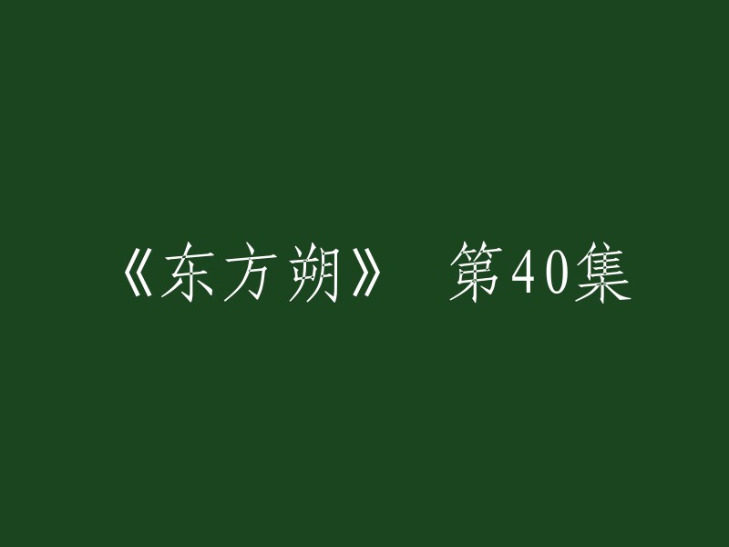 《东方朔》第40集的标题是“汉武帝根据乾坤子的提议，任命刘男为押粮官随军出征，王怀锷则在后方统筹前线大军的军粮。东方朔预感到一个巨大的阴谋正在围绕着他形成，他细细叮嘱刘男，出征后一切小心在意。” 