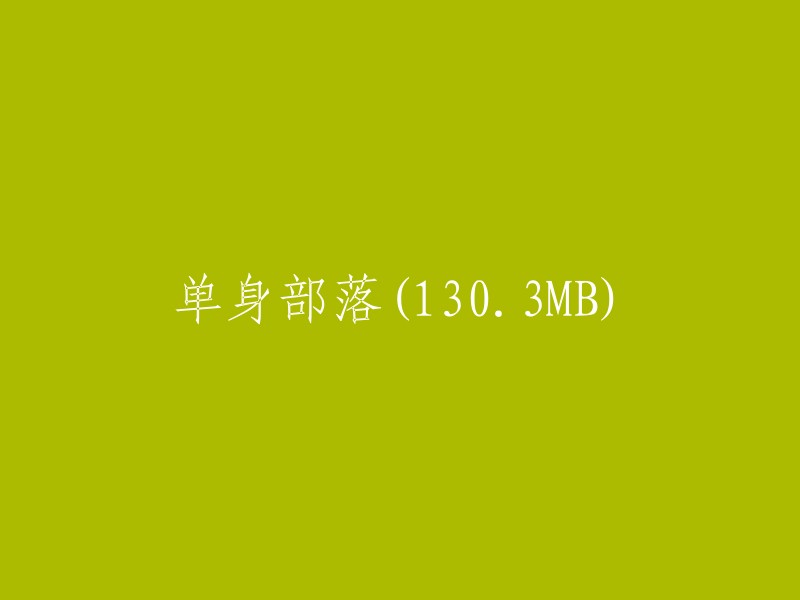 《单身部落：130.3MB的奇妙之旅》