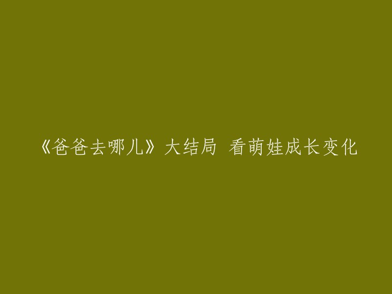 《爸爸去哪儿》大结局：见证可爱萌娃成长历程