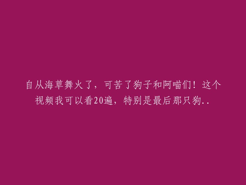 狗子和阿喵们的苦逼生活：海草舞火爆后的日常！这个视频让我看了20遍，尤其是那只狗的表演...