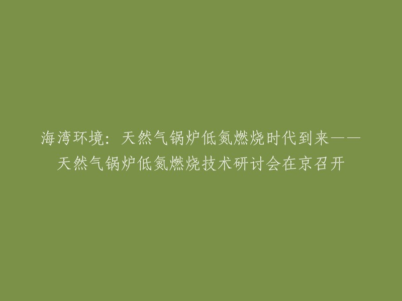 天然气锅炉低氮燃烧技术研讨会：海湾环境迎来新时代